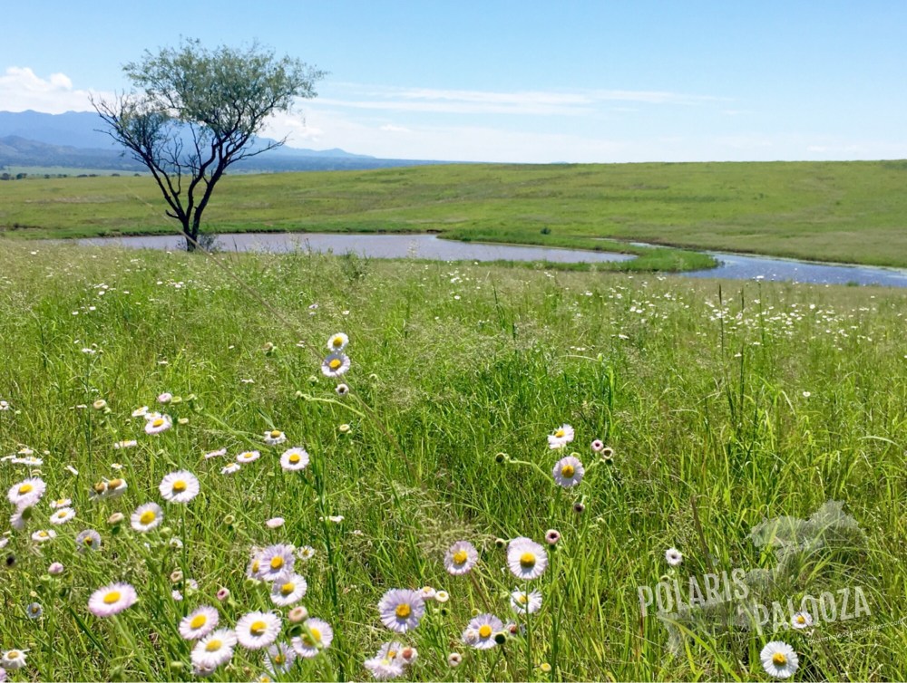 San Rafael Valley near Patagonia, AZ